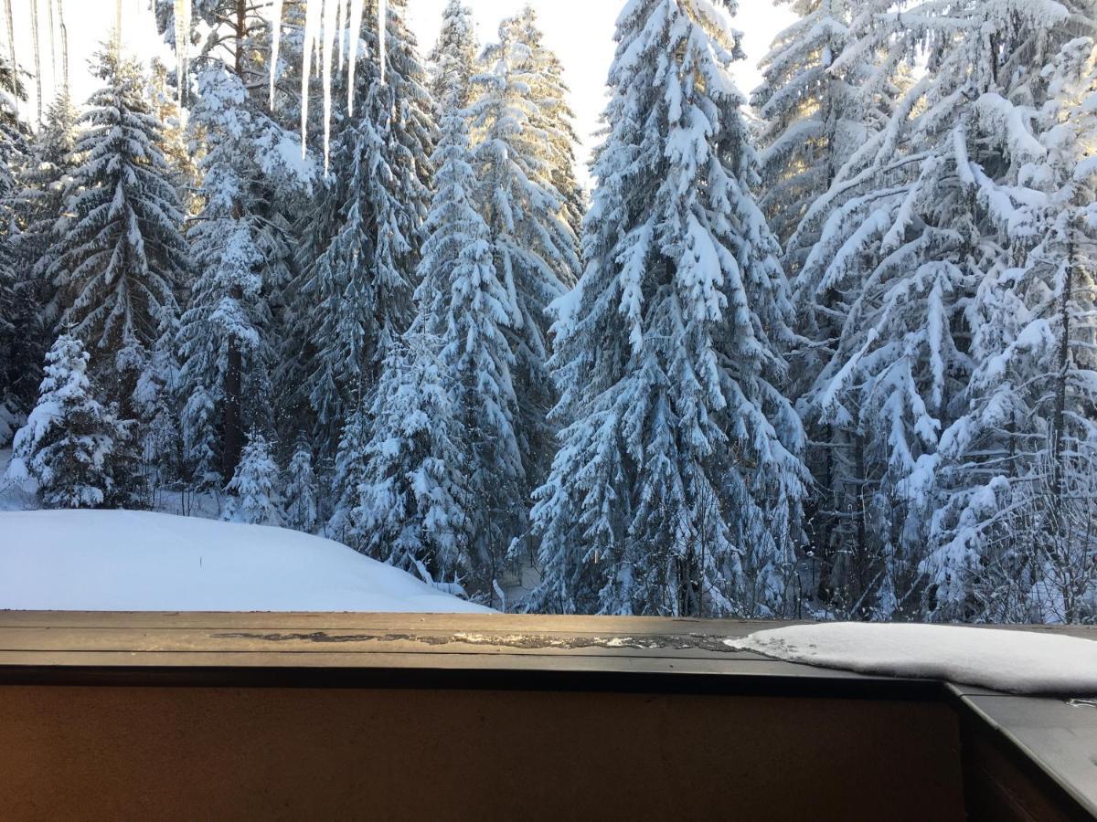 Borovets Chalets Buitenkant foto