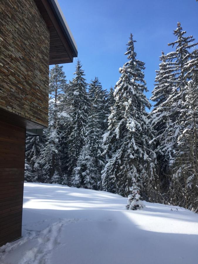 Borovets Chalets Buitenkant foto