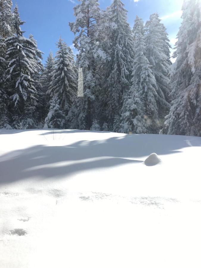 Borovets Chalets Buitenkant foto