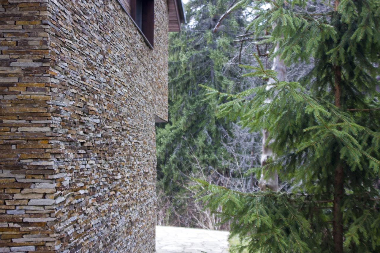 Borovets Chalets Buitenkant foto