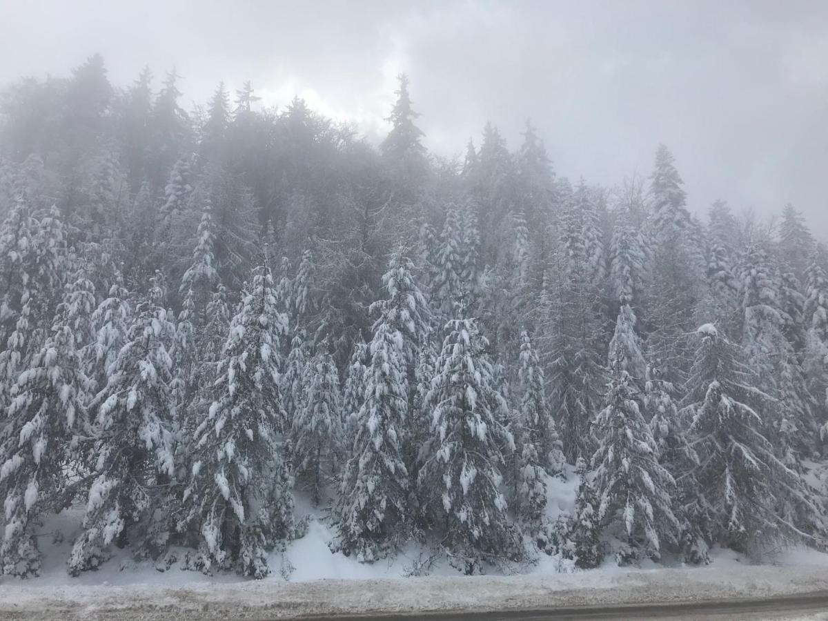 Borovets Chalets Buitenkant foto